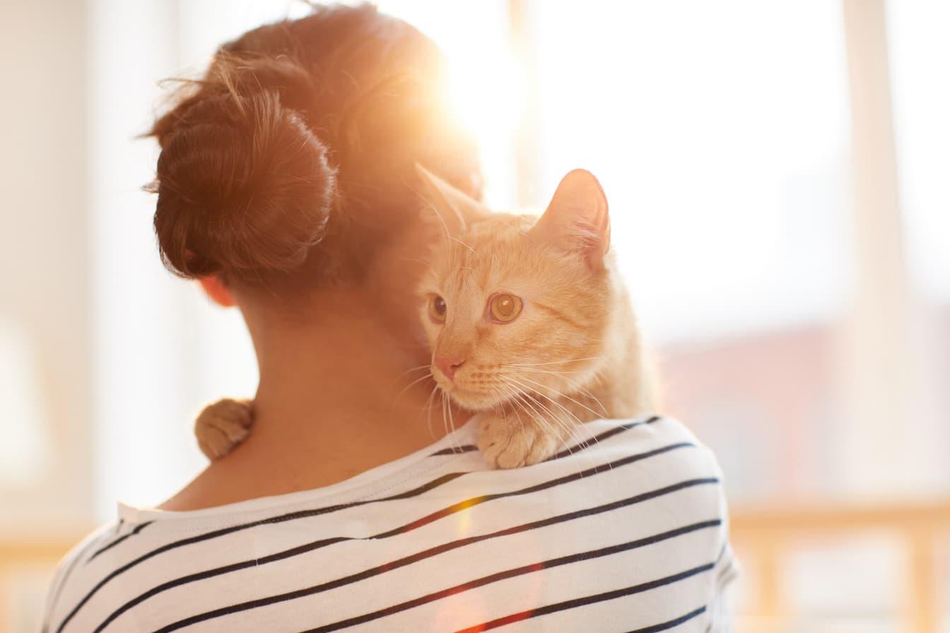 girl petting cat in a sunlit room