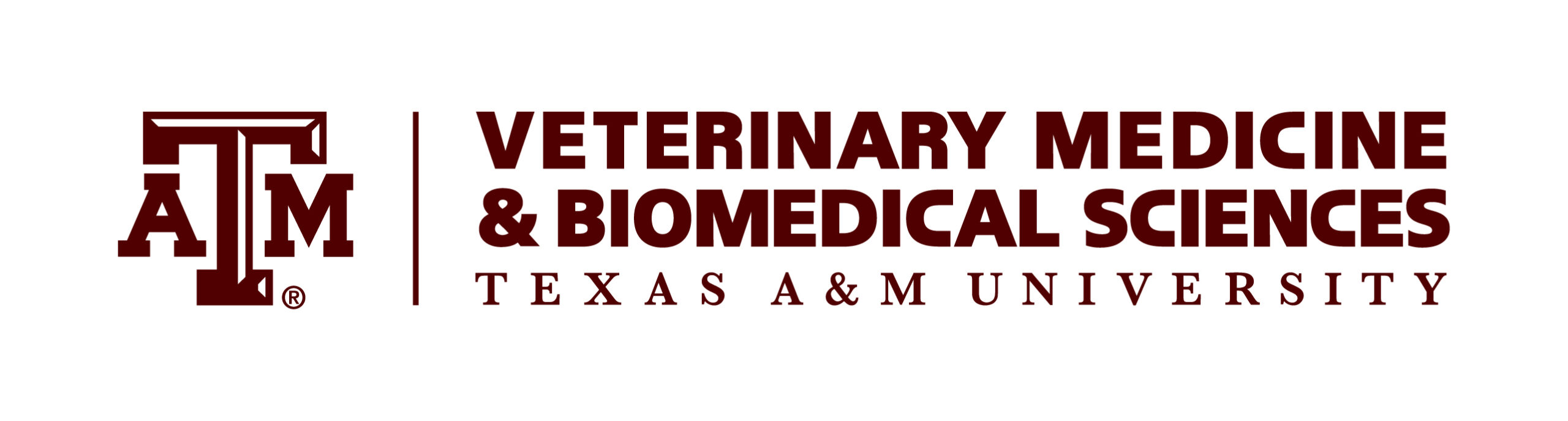 Texas A and M logo