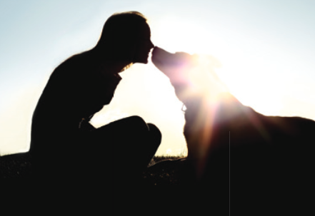 coping with the loss of a companion