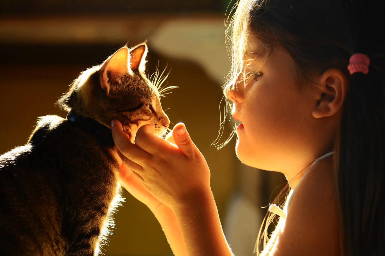 ten tips on dealing with pet loss
