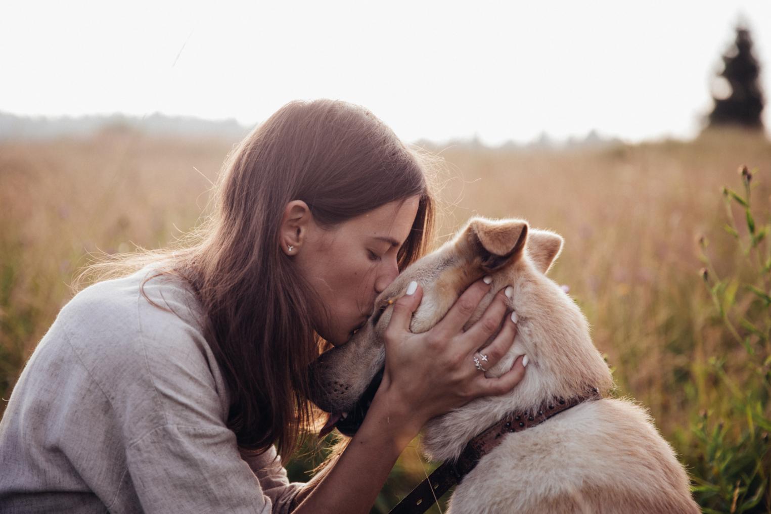 woman kissing elderly dog's forehead