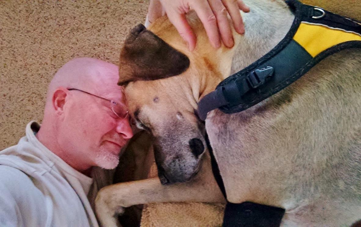 Doctor Jim Humphries with elderly dog