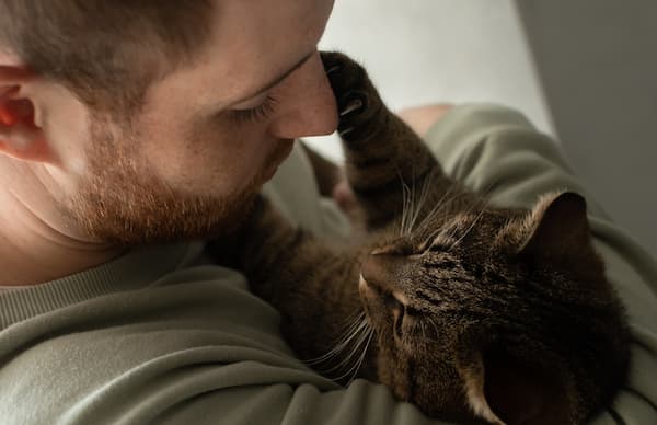 how to explain a pets death to children