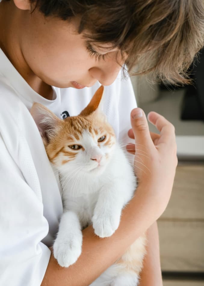 Talking to Children About Pet Loss
